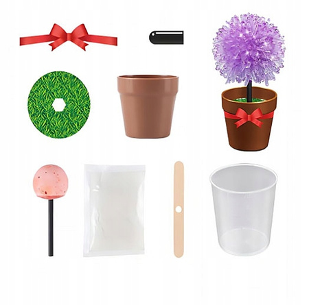 HODOWLA KRYSZTAŁÓW KWIATY ZABAWKA EDUKACYJNA DLA DZIECI KRYSZTAŁ KWIATKI