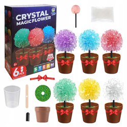 EKSPERYMENT DLA DZIECI HODOWLA KRYSZTAŁÓW MAGICZNE DRZEWKA ZESTAW 6 SZTUK