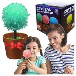 HODOWLA KRYSZTAŁÓW KWIATY ZABAWKA EDUKACYJNA DLA DZIECI KRYSZTAŁ KWIATKI