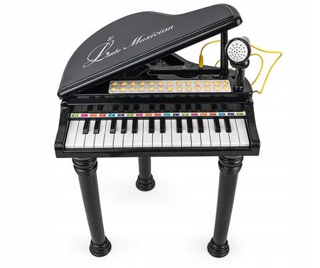 PIANINO DLA DZIECI NAUKA GRY ORGANY MIKROFON MP3